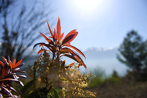 Chine: paysage d'un district au Tibet