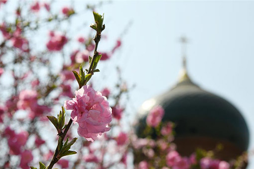 Chine : paysages printaniers dans le nord-est