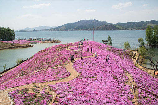 Chine : le site pittoresque de Yuhuagu dans le nord