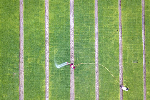 Travaux agricoles dans le centre de la Chne