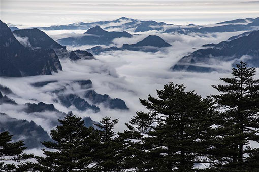Chine: paysage du Parc national de Shennongjia