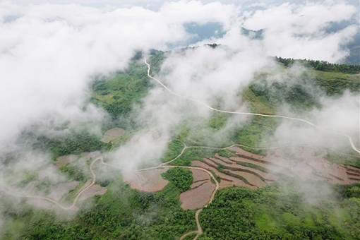Photo: champs en terrasse au centre de la Chine