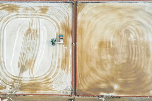 Récolte du sel dans l'est de la Chine