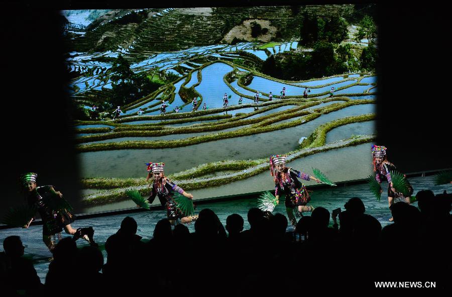 （国际）（2）米兰世博会中国馆正式开馆