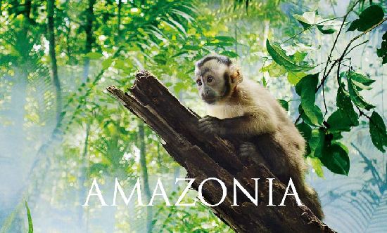 Prsentation du film franco-brsilien Amazonia en Chine