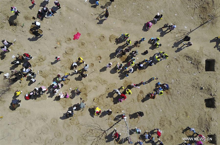 CHINA-YINCHUAN-QINGMING HOLIDAY-TREE PLANTING (CN)