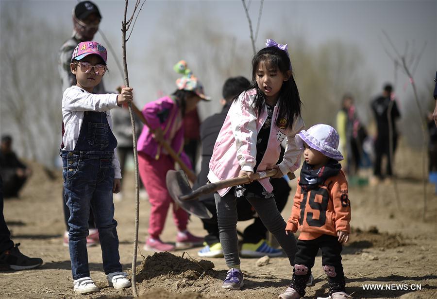 CHINA-YINCHUAN-QINGMING HOLIDAY-TREE PLANTING (CN)