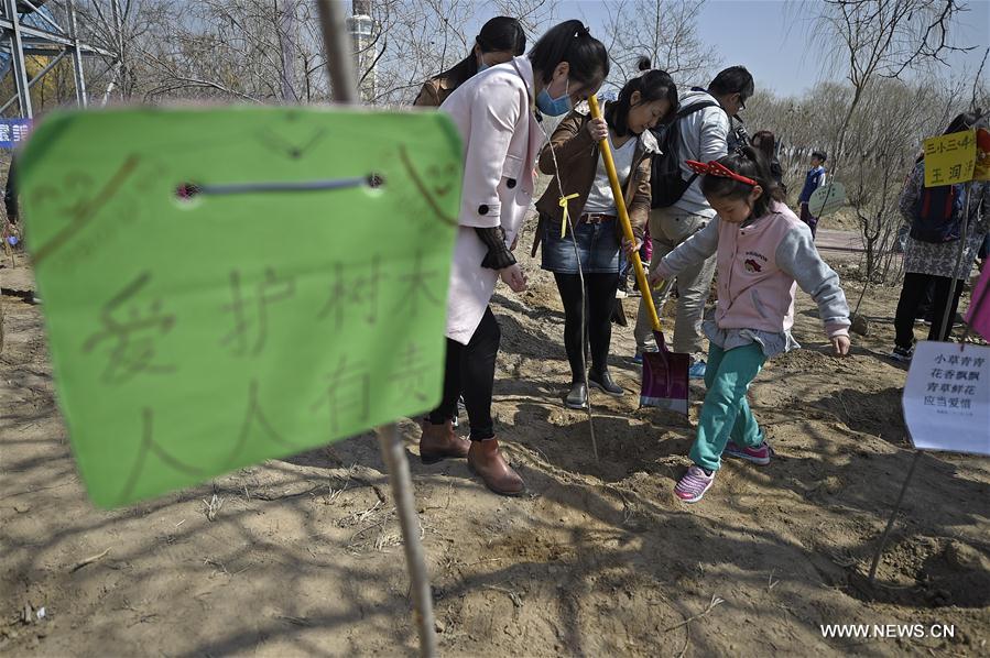 CHINA-YINCHUAN-QINGMING HOLIDAY-TREE PLANTING (CN)