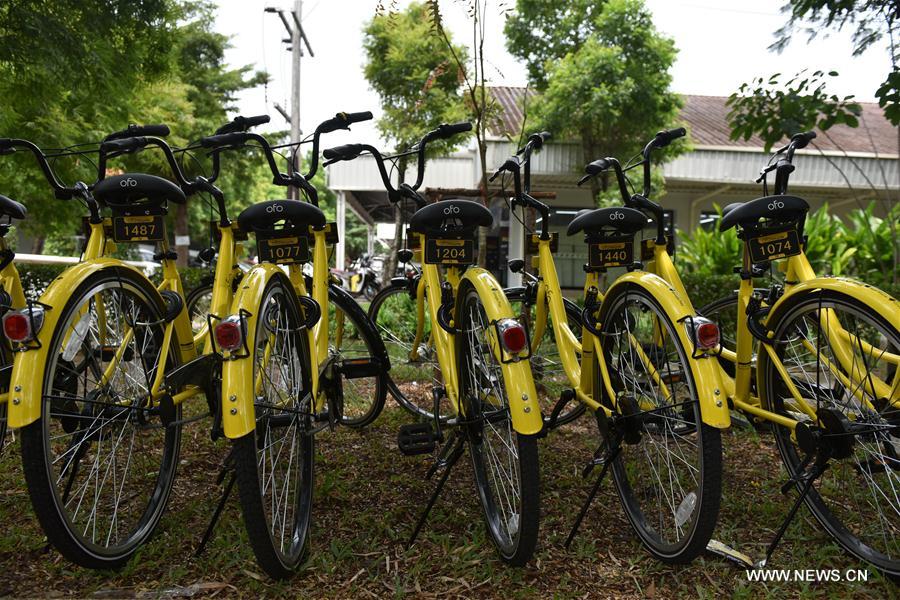 Le géant chinois du partage de vélos ofo en Thaïlande