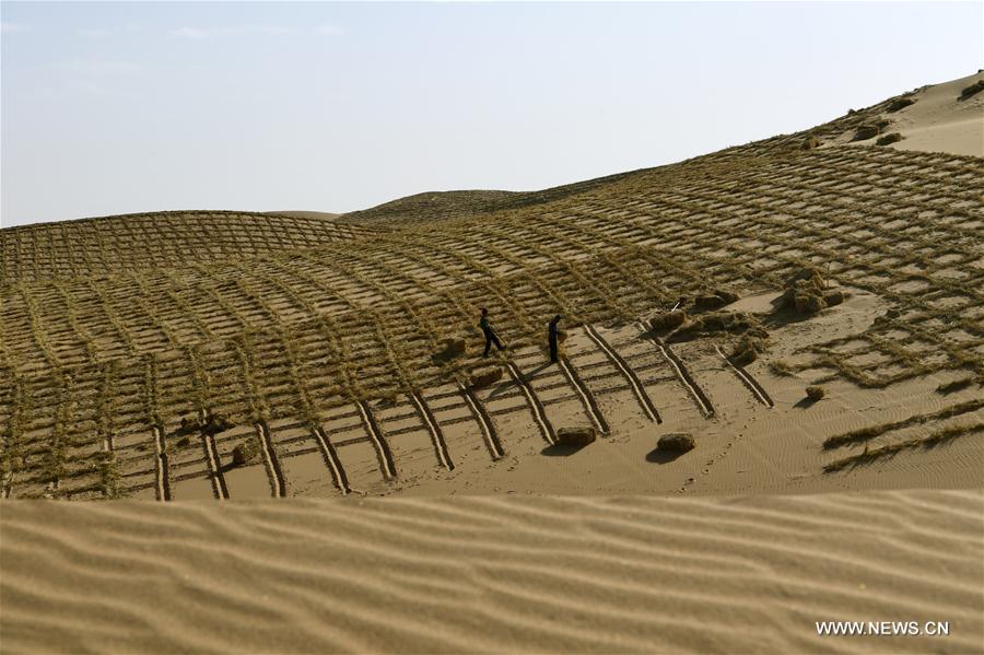Pénurie de sable : pourquoi le sable du Sahara ne peut pas être utilisé  pour la construction ? - NeozOne