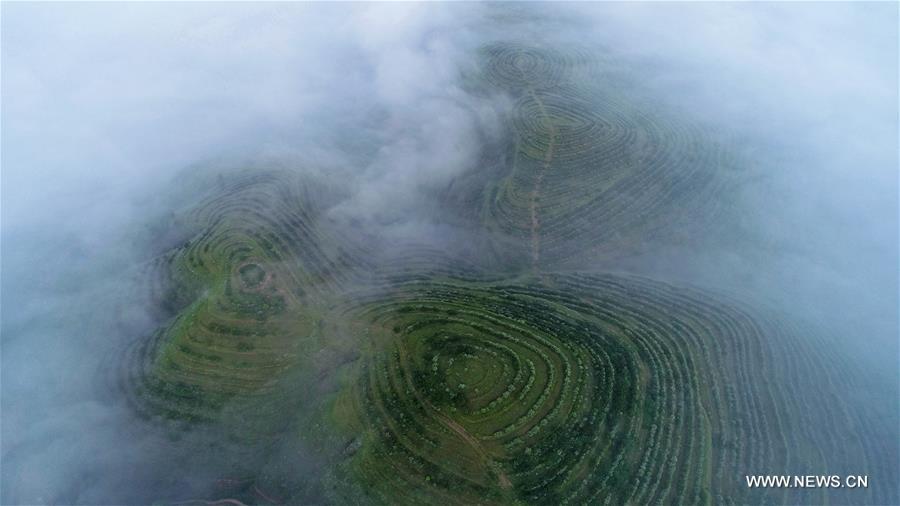 Chine : paysage du parc de la terrasse Jinjiping au Ningxia