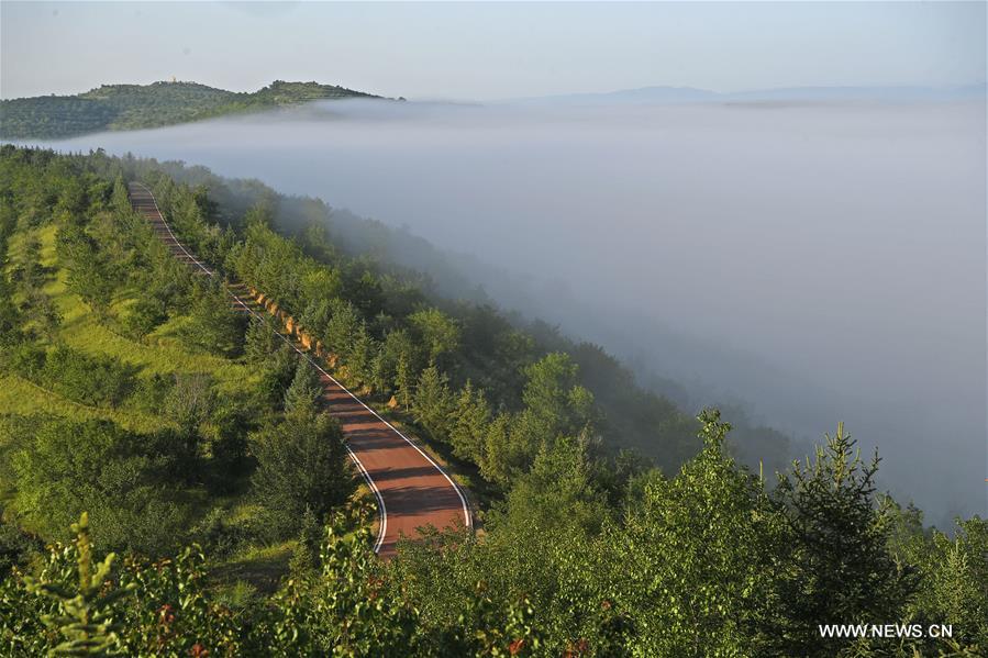Chine : paysage du parc de la terrasse Jinjiping au Ningxia