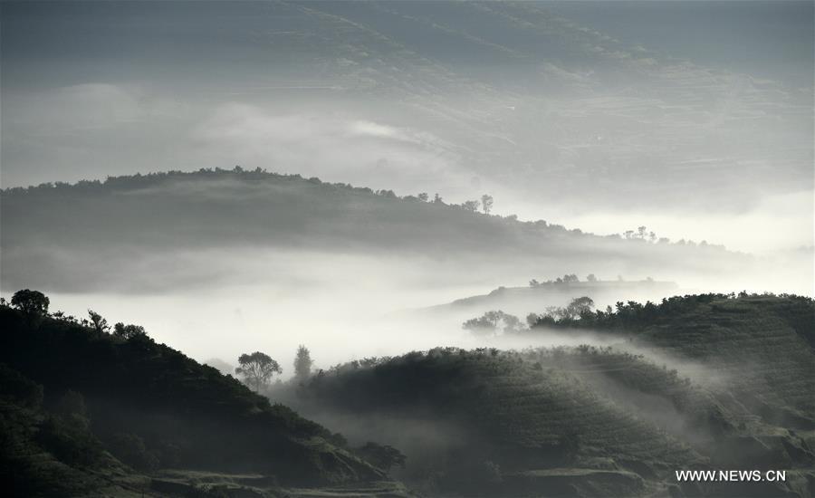 Chine : paysage du parc de la terrasse Jinjiping au Ningxia