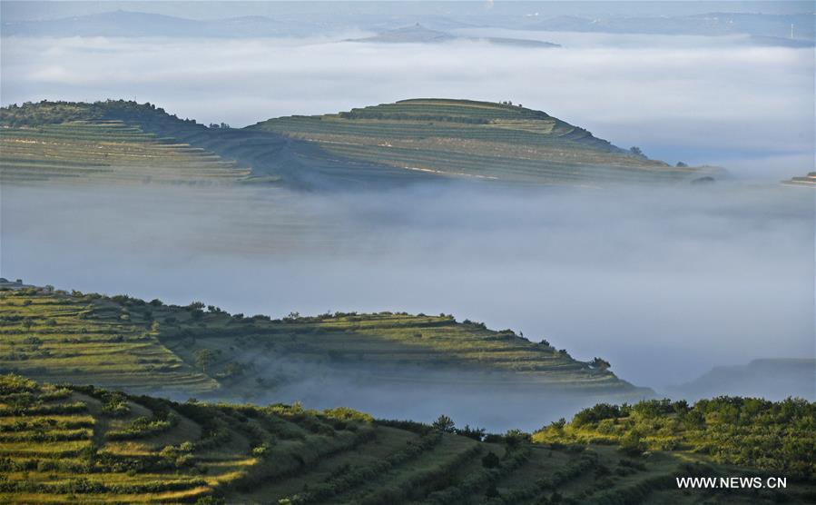 Chine : paysage du parc de la terrasse Jinjiping au Ningxia