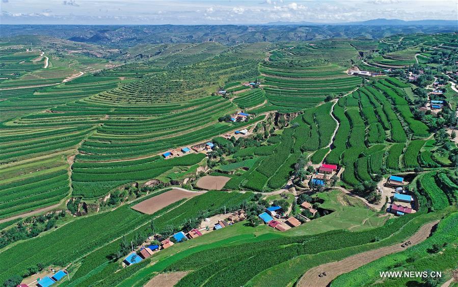 Chine : amélioration de l'environnement à Guyuan