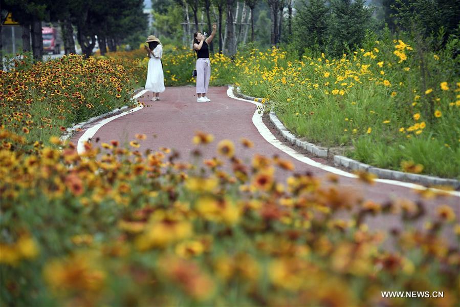 Chine : amélioration de l'environnement à Guyuan