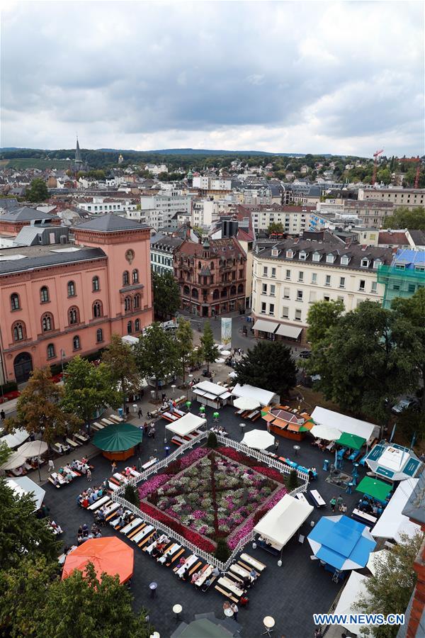 Allemagne : festival du vin de Rheingau