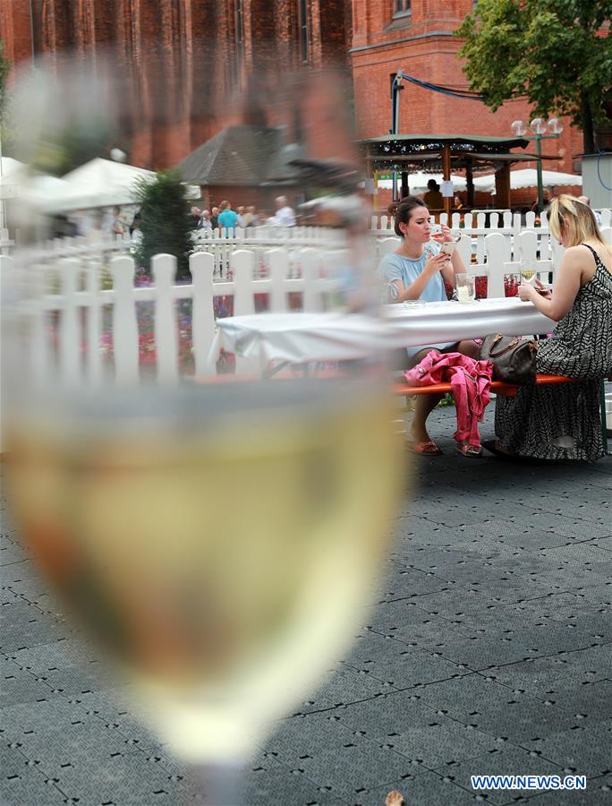 Allemagne : festival du vin de Rheingau