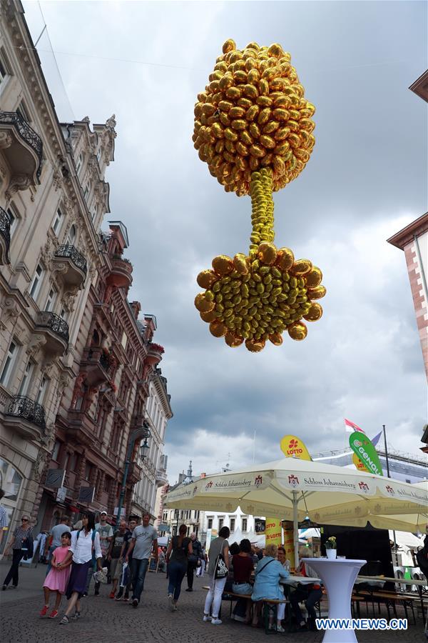 Allemagne : festival du vin de Rheingau