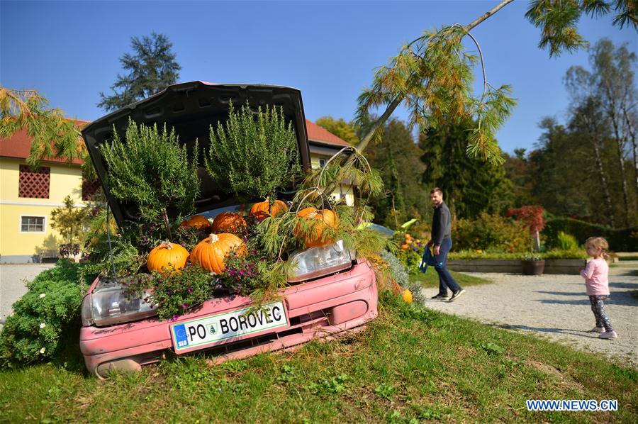 Exposition amusante de citrouilles en Slov&eacute;nie