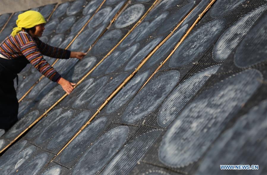 Chine : paysan séchant de la gelée d'amidon de patate douce