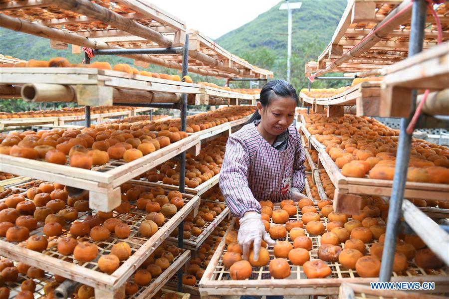 Chine : l'industrie fruiti&egrave;re au Guangxi