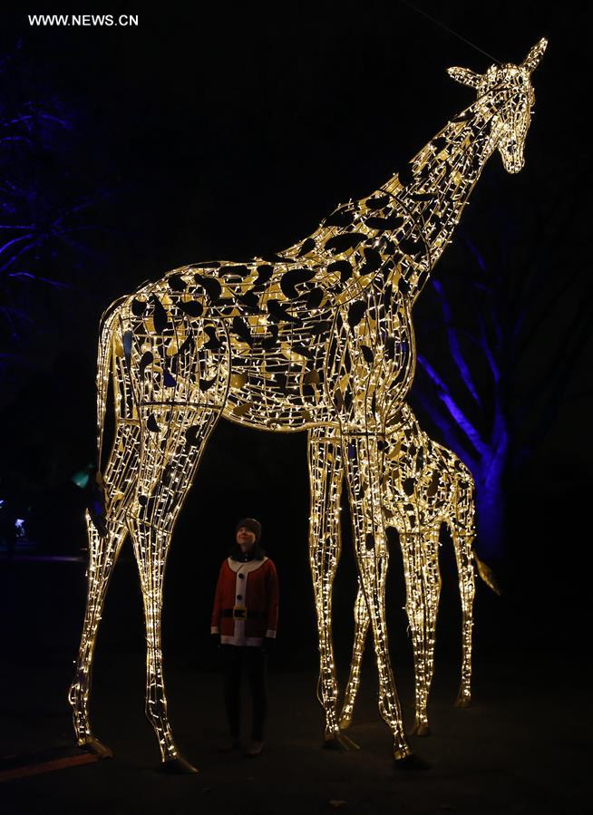 Londres : No&euml;l au zoo