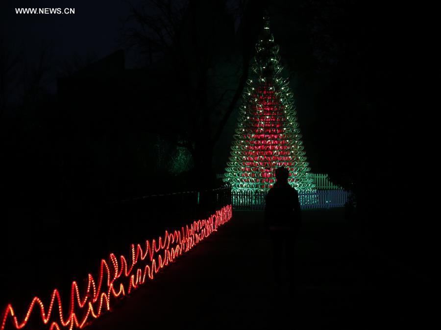 Londres : No&euml;l au zoo