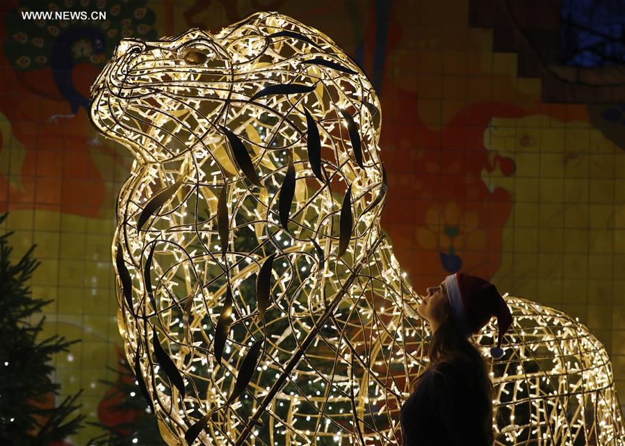 Londres : No&euml;l au zoo