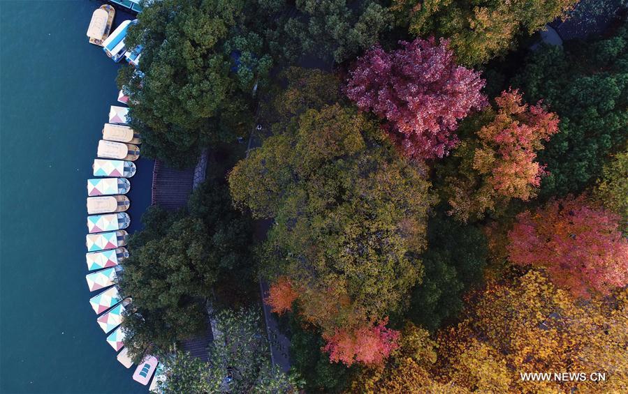 Chine : paysage du Lac Nianjia &agrave; Changsha