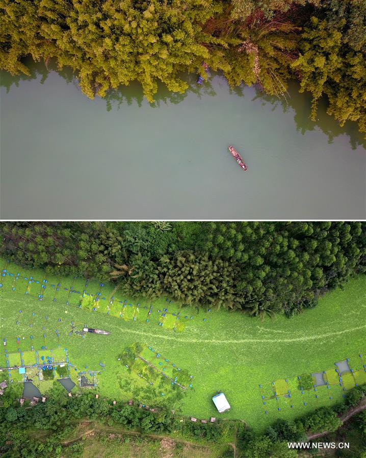 Chine : environnement aquatique de Liuzhou au Guangxi (sud)