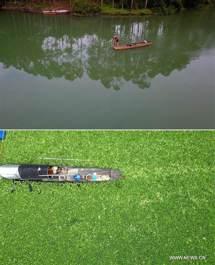 Chine : environnement aquatique de Liuzhou au Guangxi (sud)