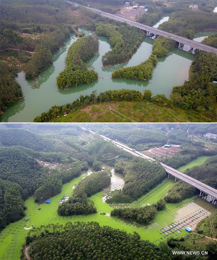 Chine : environnement aquatique de Liuzhou au Guangxi (sud)