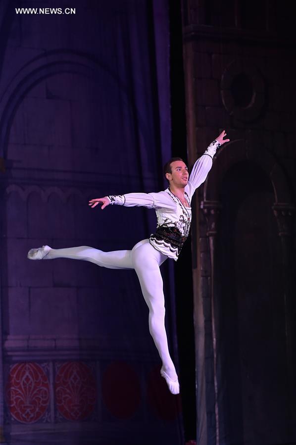 Allemagne : repr&eacute;sentation du "Lac des cygnes" &agrave; Francfort