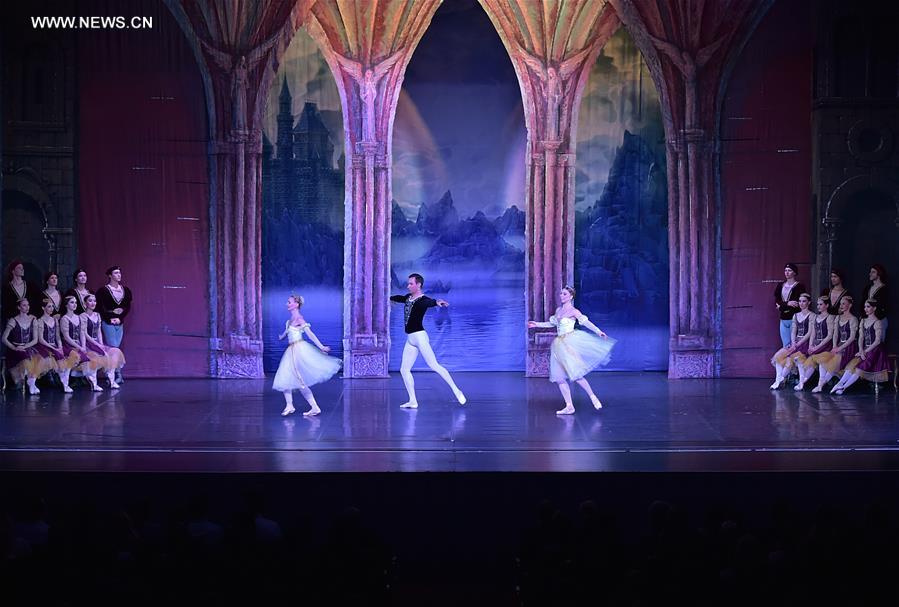 Allemagne : repr&eacute;sentation du "Lac des cygnes" &agrave; Francfort