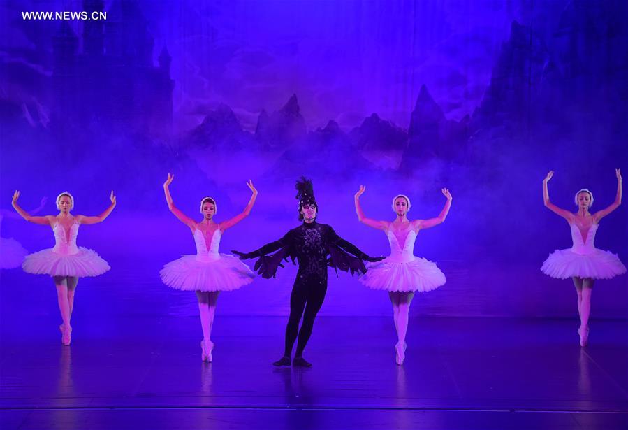 Allemagne : repr&eacute;sentation du "Lac des cygnes" &agrave; Francfort
