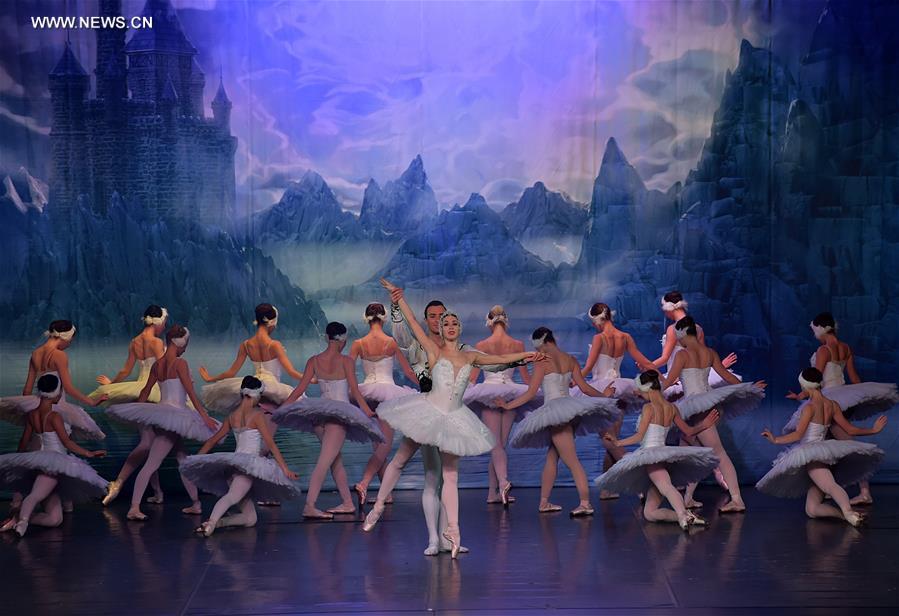 Allemagne : repr&eacute;sentation du "Lac des cygnes" &agrave; Francfort