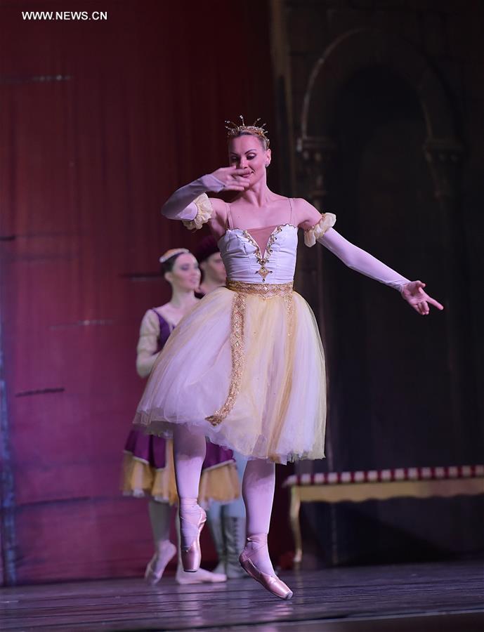 Allemagne : repr&eacute;sentation du "Lac des cygnes" &agrave; Francfort