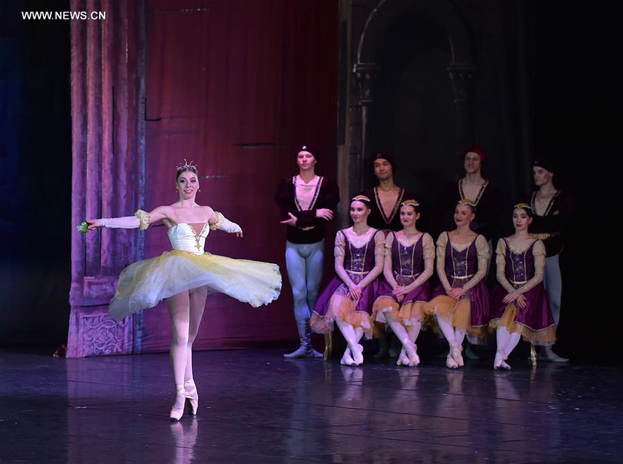 Allemagne : repr&eacute;sentation du "Lac des cygnes" &agrave; Francfort