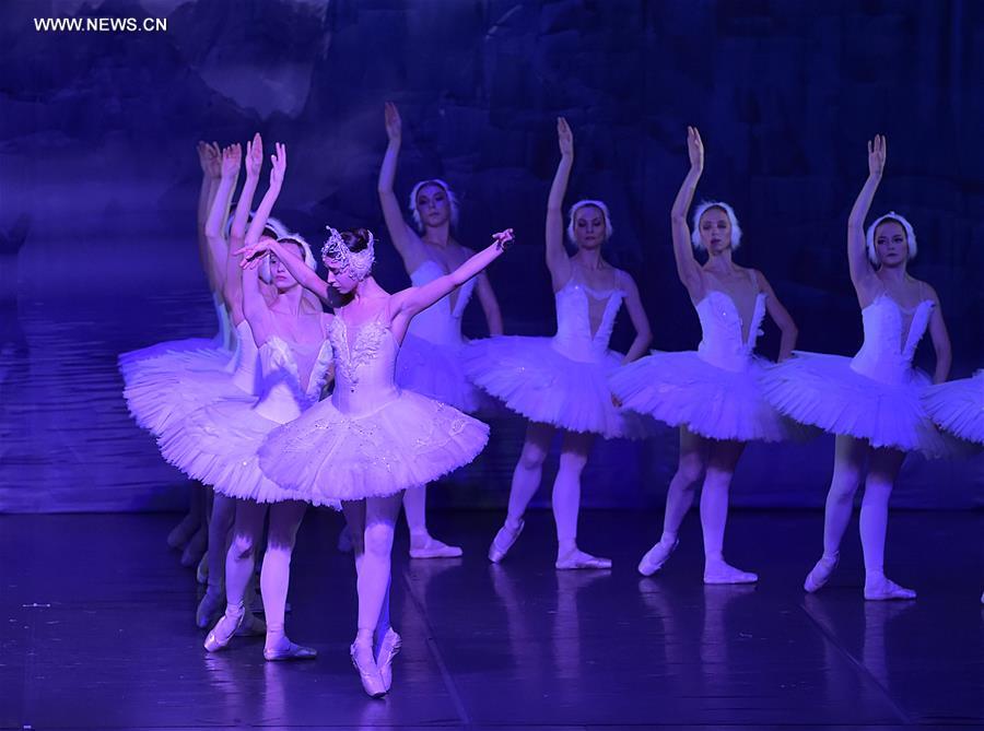 Allemagne : repr&eacute;sentation du "Lac des cygnes" &agrave; Francfort