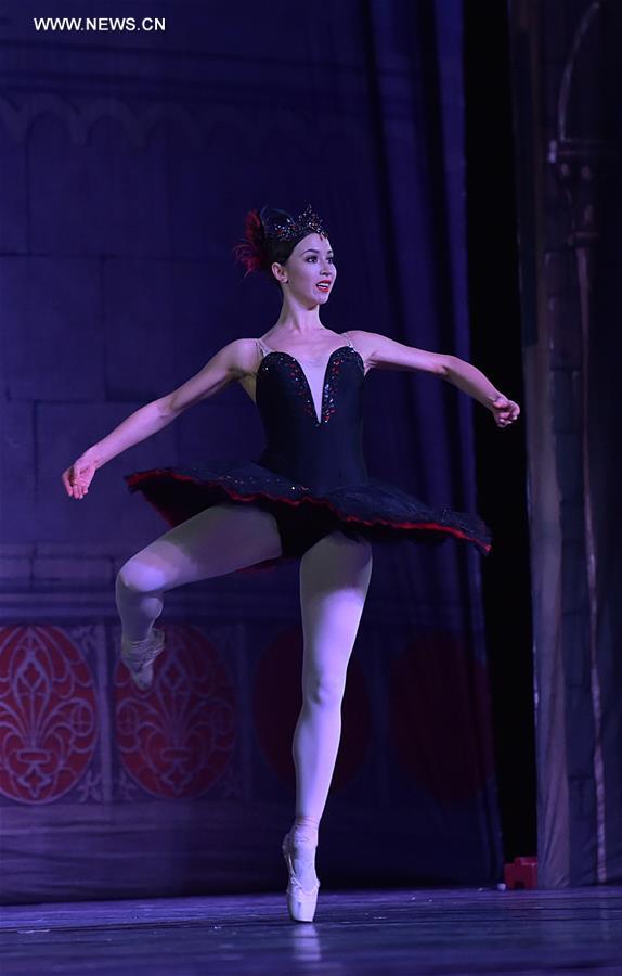 Allemagne : repr&eacute;sentation du "Lac des cygnes" &agrave; Francfort