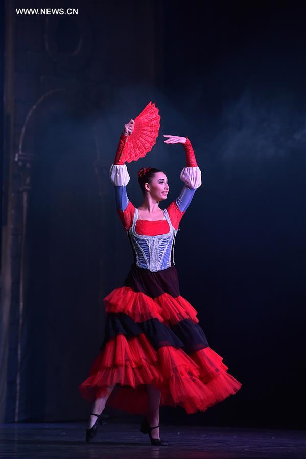 Allemagne : repr&eacute;sentation du "Lac des cygnes" &agrave; Francfort