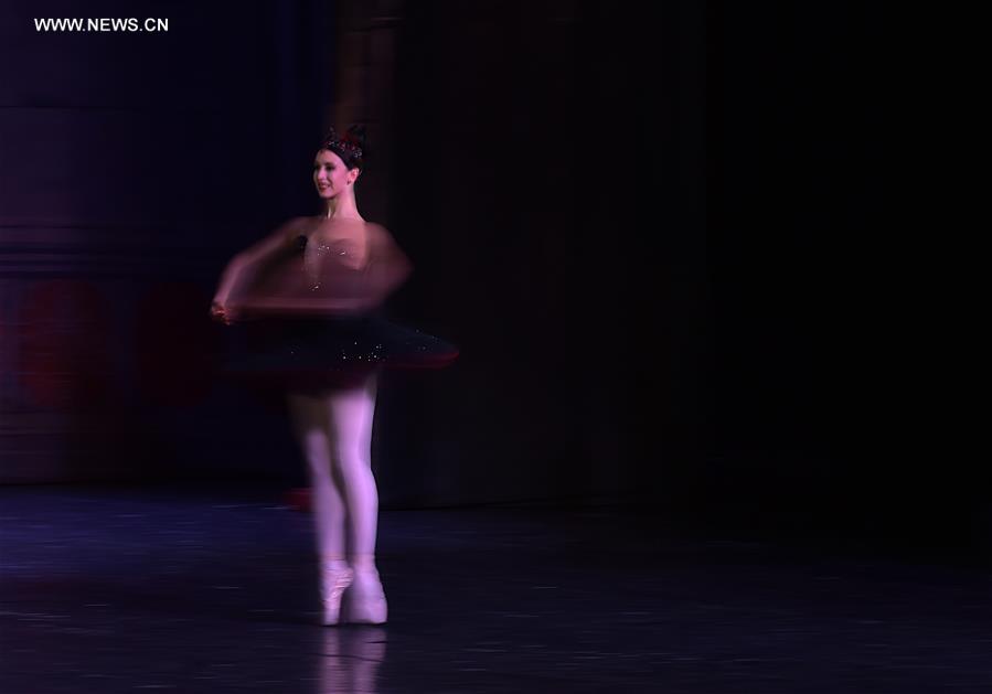 Allemagne : repr&eacute;sentation du "Lac des cygnes" &agrave; Francfort