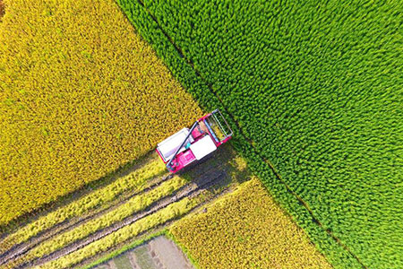 Une semaine d'actualit&eacute;s en images (du 9 au 15 juillet 2018)