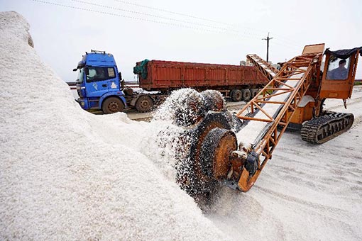 Production du sel marin dans le nord de la Chine