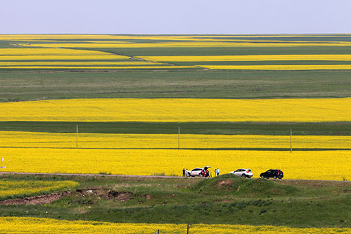 Chine : tourisme &agrave; l'occasion des vacances d'&eacute;t&eacute;