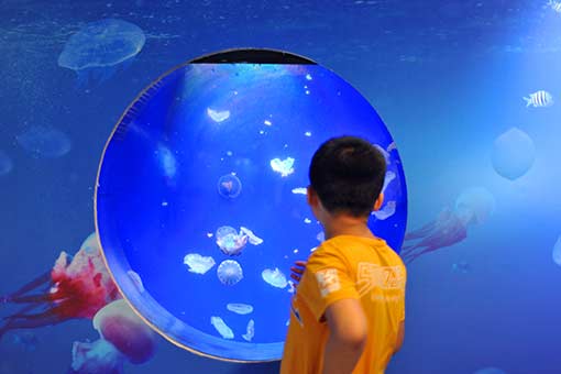 Chine : m&eacute;duses dans un mus&eacute;e dans le sud-ouest