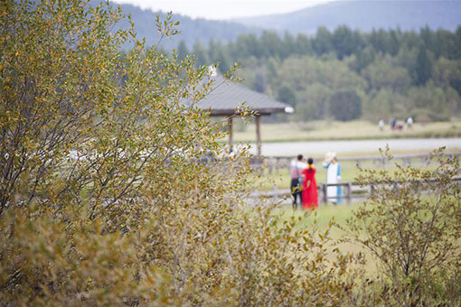 Chine: paysage dans le parc forestier national de Saihanba