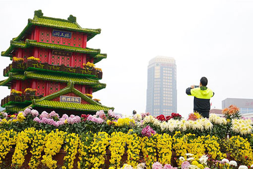 Chine: la 30e exposition de chrysanth&egrave;mes &agrave; Nanchang