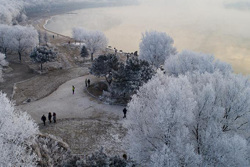 Chine : paysage de givre dans le nord-est